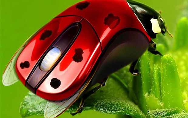 Ladybirds Mouse (click to view)