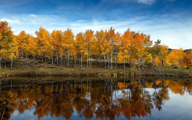 Lake Autumn Trees (click to view)