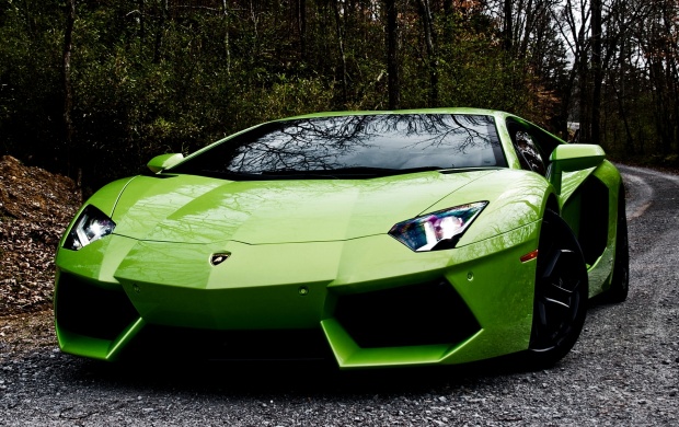 Lamborghini Aventador Green (click to view)