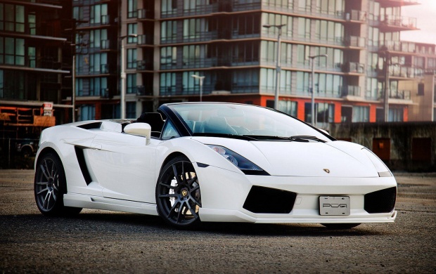 Lamborghini Gallardo Pure (click to view)