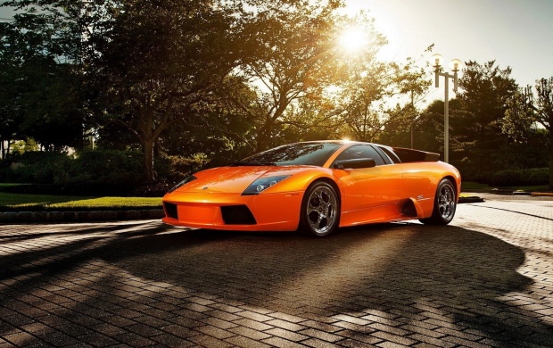 Lamborghini Murcielago Orange Car