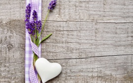 Lavender Flowers Heart