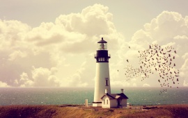 Lighthouse and Birds