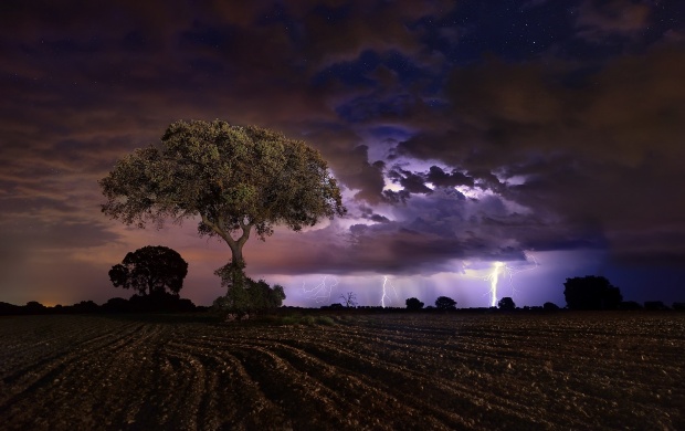 Lightning Night Storm (click to view)