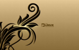 Linux Foundation Background