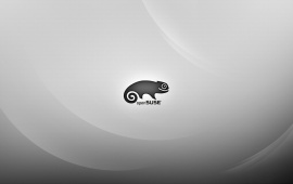 Linux Opensuse Silver