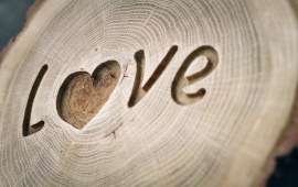 Love Written On Wood