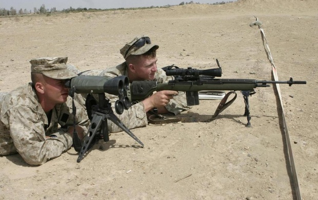 M14 DMR (click to view)