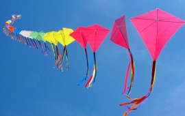 Makar Sankranti Colorful Kites