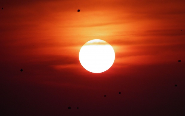 Makarsankranti Kites Sunset (click to view)