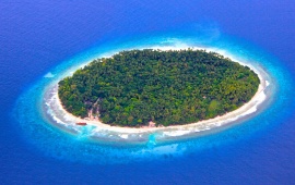 Maldives Island Reef Ocean