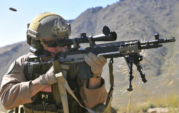 Mark 14 Enhanced Battle Rifle (click to view)