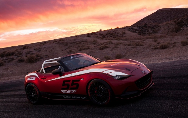 Mazda Global MX-5 Cup Racecar 2016 (click to view)