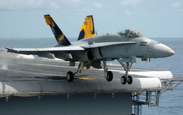 McDonnell Douglas F/A-18 Hornet (click to view)