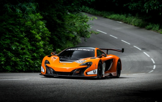 McLaren 650S GT3 2015 (click to view)
