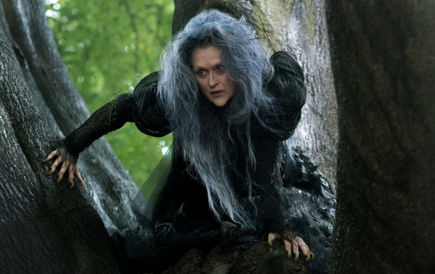 Meryl Streep As The Witch (click to view)