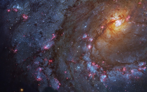 Messier 83 (click to view)