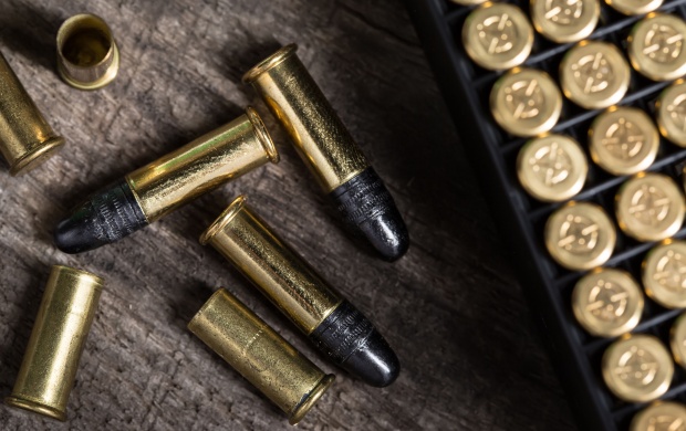 Metal Bullets Ammunition (click to view)