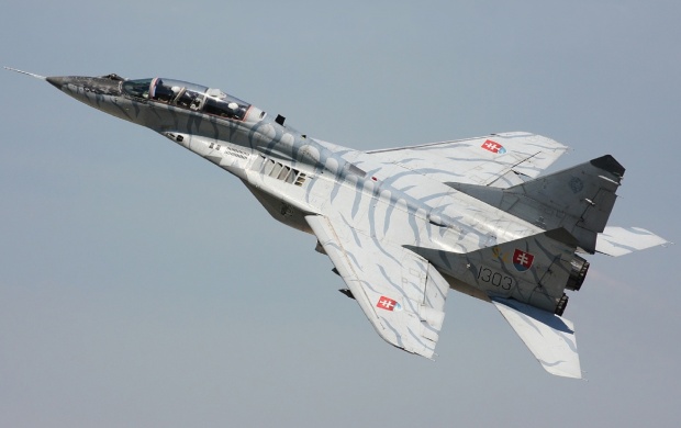 MiG-29UB Fighter (click to view)
