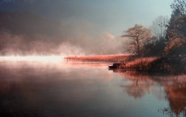 Misty Autumn River