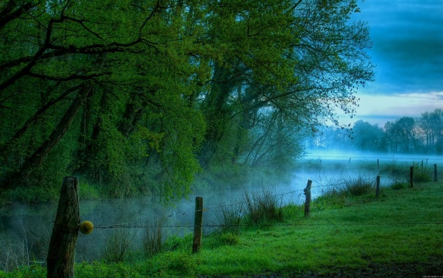 Misty Morning River