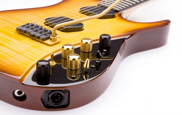 Moog Guitar (click to view)
