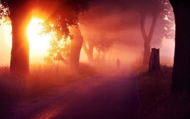 Morning Mist Road