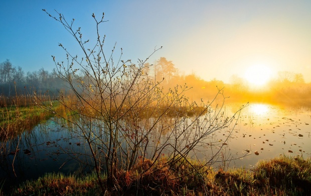 Morning Sun Over Misty Lake (click to view)