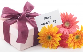 Mothers Day Flowers And Gift