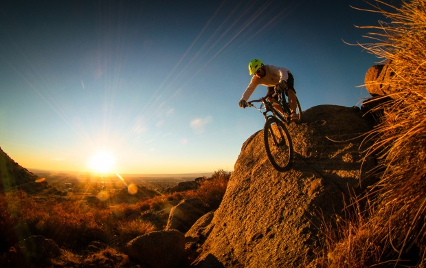 Mountain Bike Race (click to view)