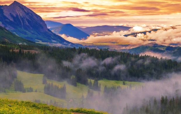 Mountains Forest Valley Dawn Fog (click to view)