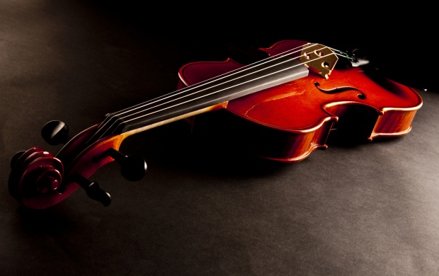 Musical Instrument Violin (click to view)