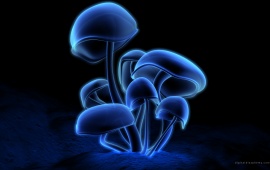 Neon Mushrooms