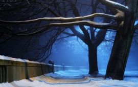 Night Light Winter