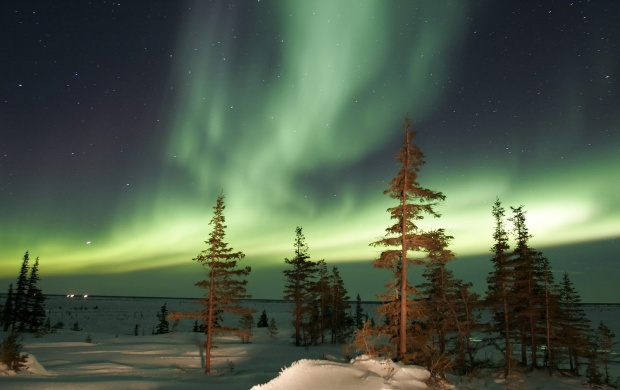 Northern lights (click to view)