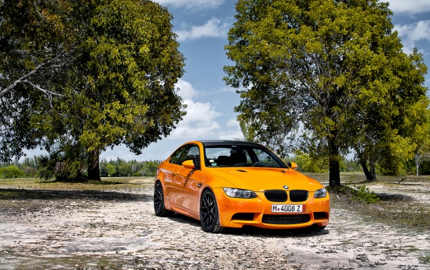Orange BMW M3 Car