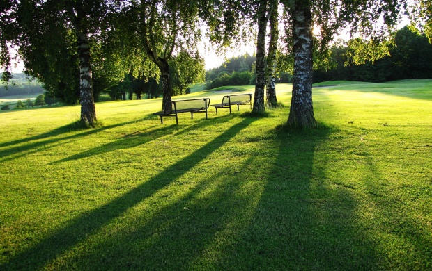 Outdoor Morning Garden View