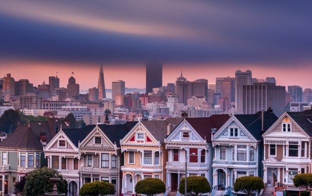 Painted Ladies (click to view)