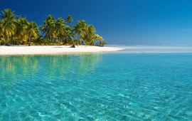 Palm Trees Island
