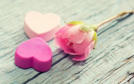 Pink Heart And Rose Flower