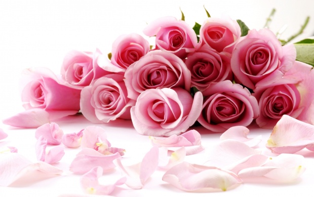 Pink Roses (click to view)