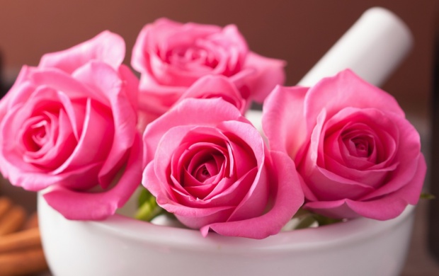 Pink Roses Flowers Petals (click to view)