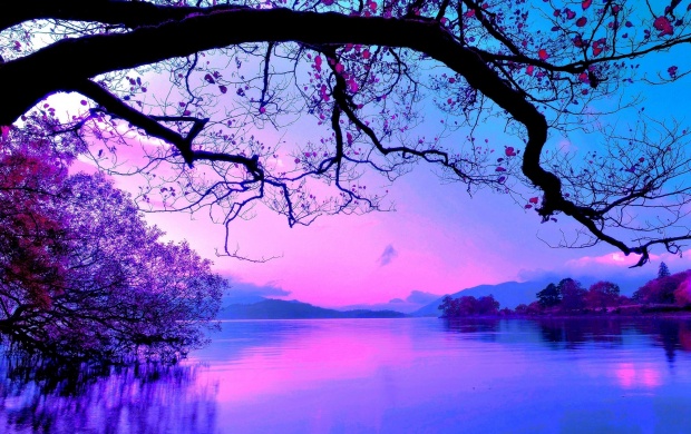 Pink Sunset Over the Lake (click to view)
