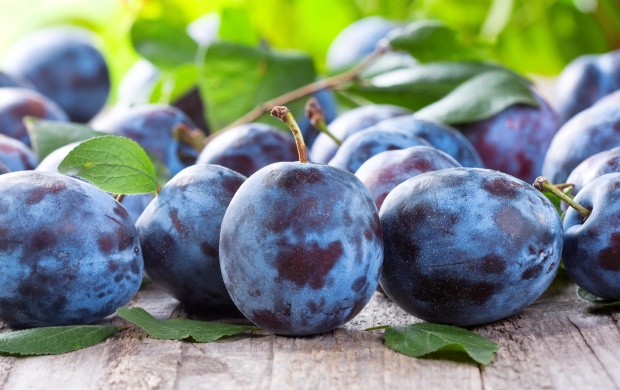Plum Fruit 4K (click to view)