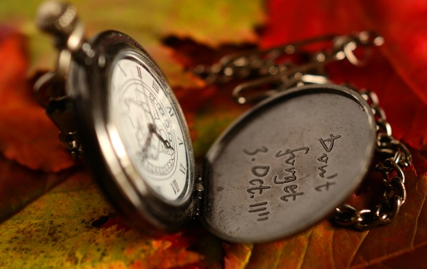 Pocket Watch (click to view)