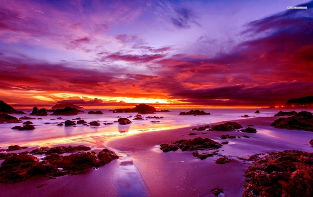 Purple Sunset on Rocky Beach (click to view)