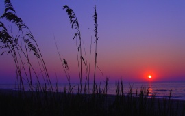 Purple Sunset on the Beach