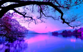 Purple Sunset On The Lake