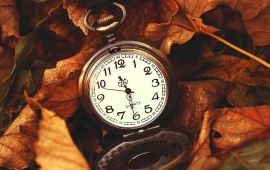 Quartz Watch In Autumn Leaves