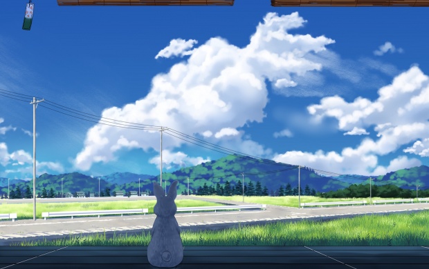 Rabbit Starring At A Field (click to view)